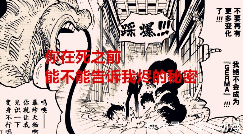 天龙|海贼王1035话:奎因倒下前说出烬的身世,索隆找到了击败烬的方法