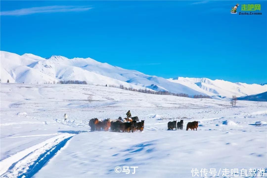 喀纳斯|冬日净土，非喀纳斯莫属