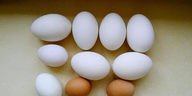 顺产|宝妈孕期坚持吃鹅蛋,顺产时顺转剖太受罪,只有经历的人才懂