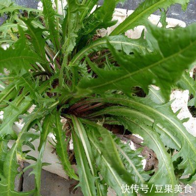 向幸福出发|今天做一道家常菜