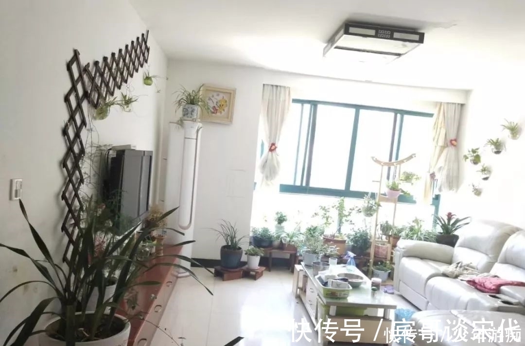 花园|养花技巧:客厅养一堆便宜花,一年四季开不停,没钱也能变花园!