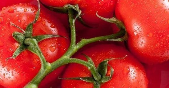 西红柿如此吃,营养翻倍还能减肥,不用花冤枉钱买减肥药了