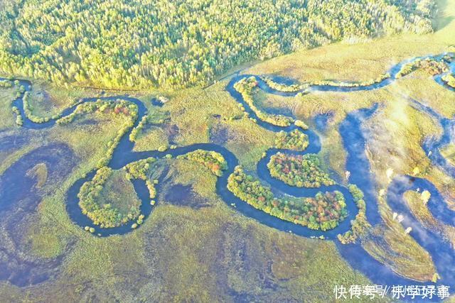 儿时的草甸是那样情趣