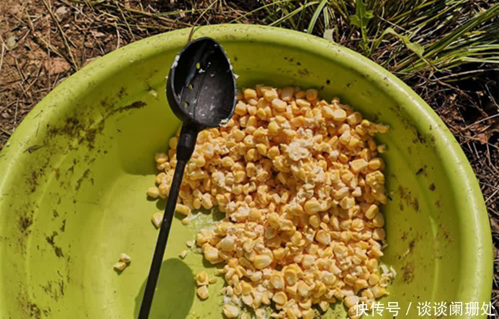 配方|夏季天热鱼儿“口难开”,用这些自制饵料配方,不愁没鱼咬钩!