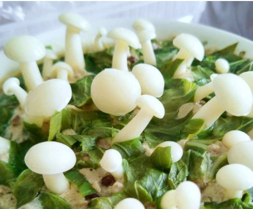 喜欢做这菜，贵是贵点，清甜美味，做一盘儿子连汁都不剩