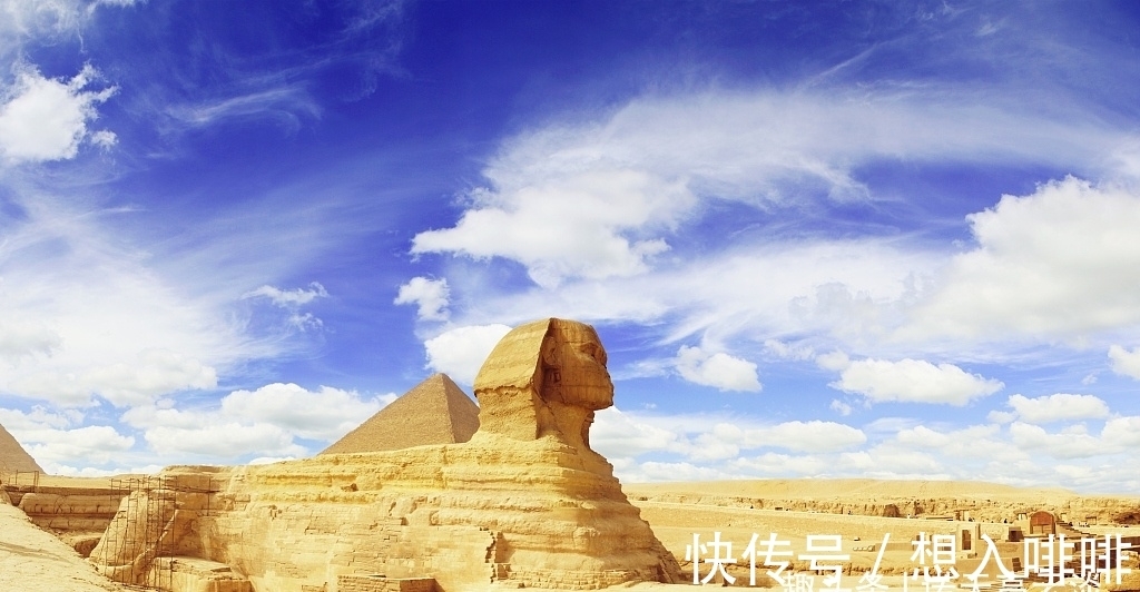 金鱼|30个冷知识:真实存在于世界,但却鲜为人知的奇怪知识