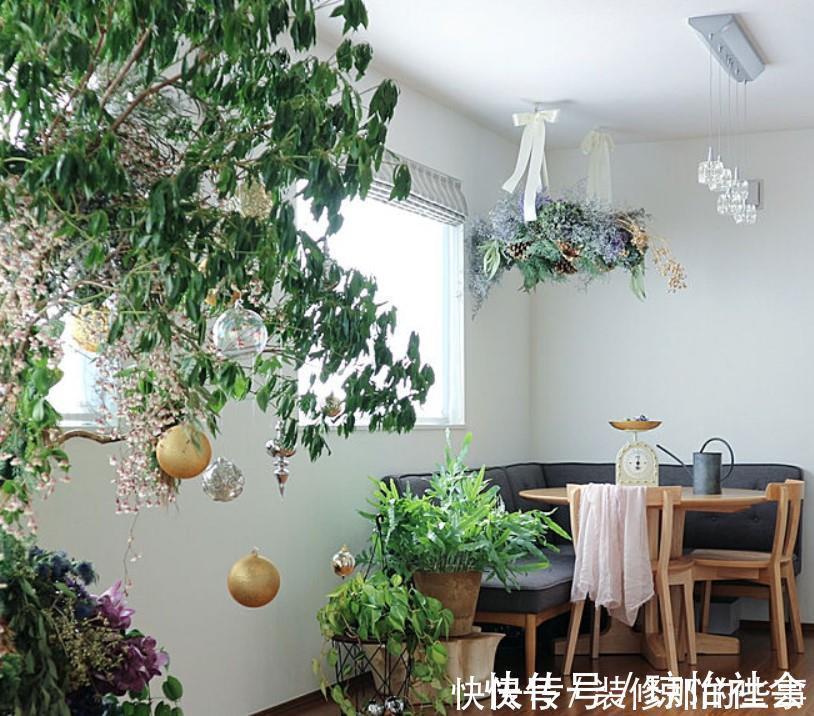 小两口之家,全屋布满绿植鲜花,把生活过成了诗,太美太治愈了