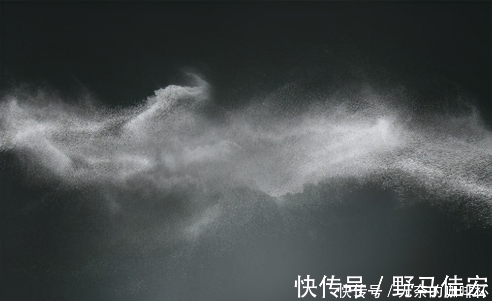 猛犸象|为什么屋子里总是莫名其妙落一层灰尘，它们到底是从哪里来的？