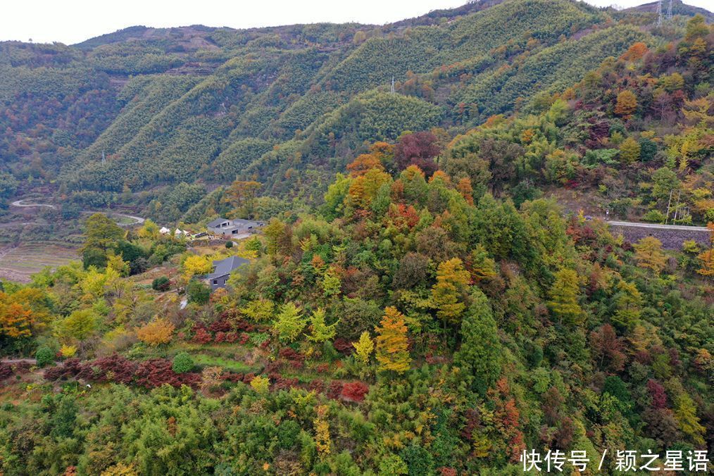 四明山赏秋胜地，茅镬秋色，至今游历25次