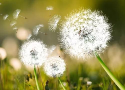 滋阴|女性爱美,建议常吃三种食物,滋阴降火