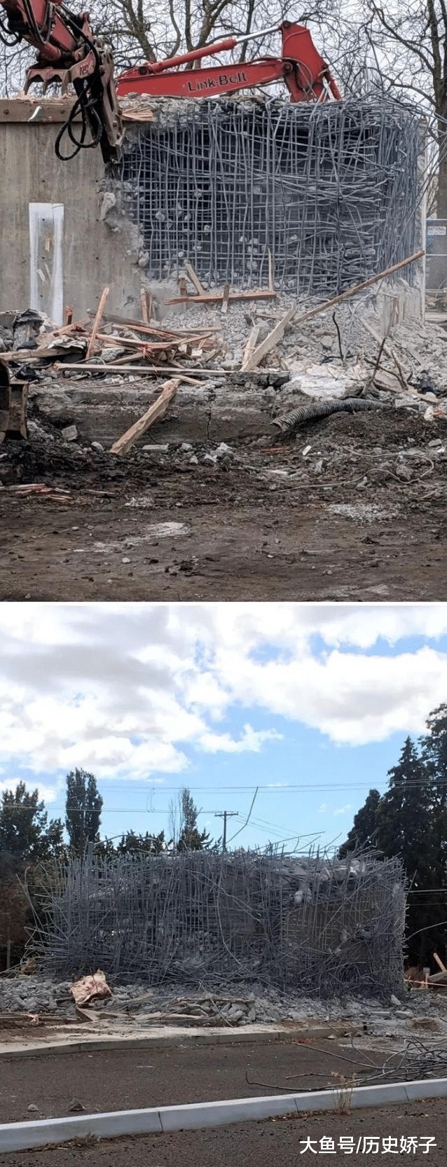 电子显微镜 22张“活久见”的照片,令人大开眼界!