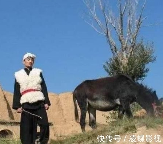 從星光大道冠軍到“人人喊打”，52歲的阿寶再惹爭議，他做了啥？