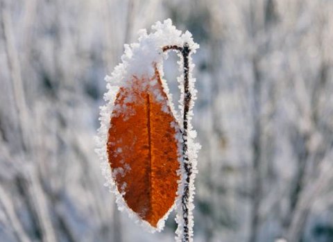 中年|冬天如何预防呼吸道疾病？避免着凉，注意加减衣服！
