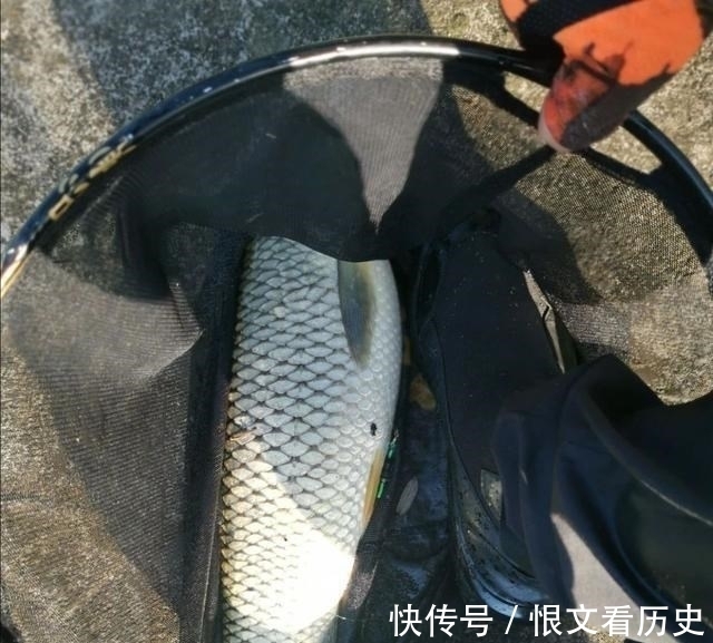 钓友|学会调漂反而钓不到鱼了？别误会，那是因为你只学了一半！