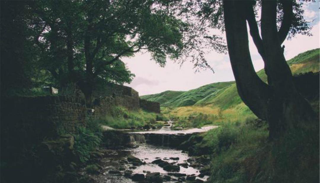 一辈子信佛的王维晚年隐居终南山,写下一首五律,每一句充满禅理