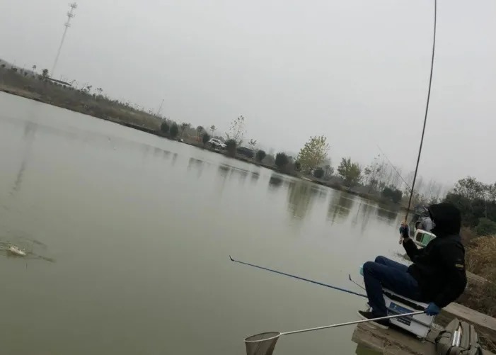 冷天钓大鲫鱼,这几个方法我每次都要用,从不发愁板鲫不好钓