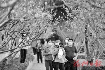 文明赏花 心留余香