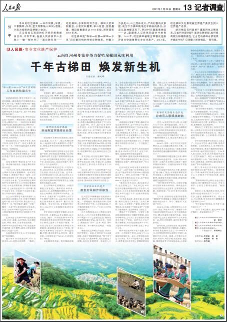 千年古梯田焕发新生机 《人民日报》关注云南红河多策并举力促哈尼梯田永续利用