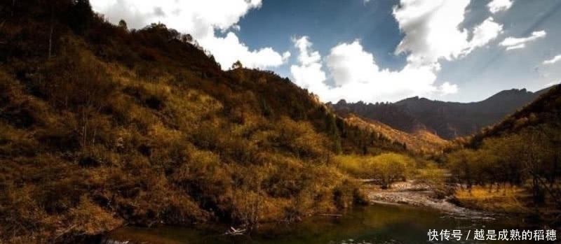 这首诗#王安石这首诗也被严重低估了,句句是经典,最后两句美得令人心醉