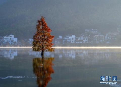  仙境|安徽黄山：奇墅湖晨景似仙境