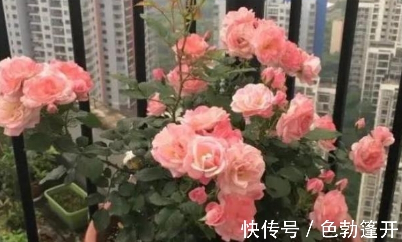 来袭|下周，桃花来袭，触景生情，坚持守候，再与挚爱牵手