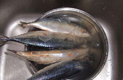 解冻冰鱼时,直接用水泡的鱼难吃,教你几招,鱼肉就像鲜鱼一样