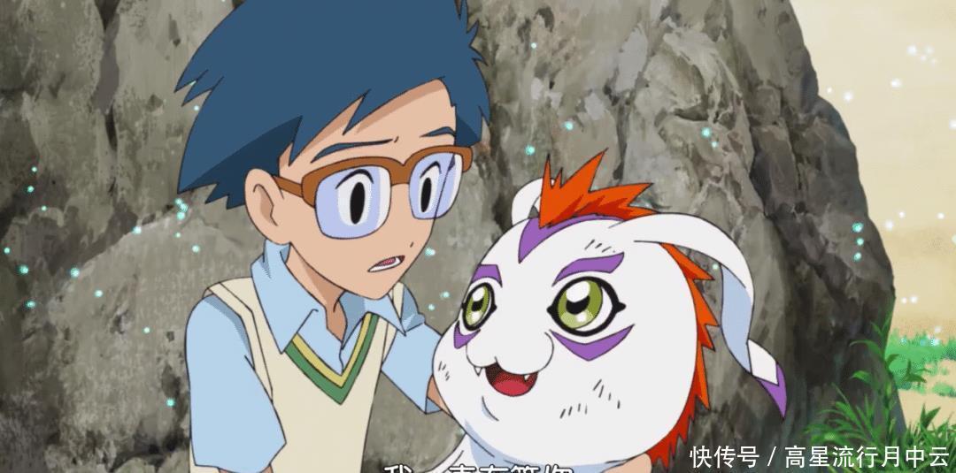 数码兽|新数码宝贝可爱的哥玛兽登场,阿丈拒绝帮助太一!