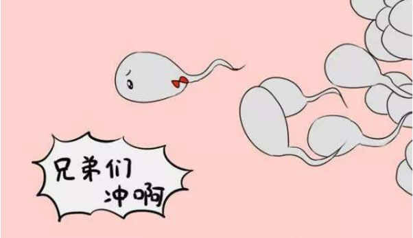 夫妻双方有这5个特征,或许更容易备孕成功,你占了几条