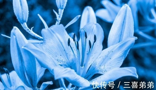 挽回|2天内,旧爱相逢,旧缘靠近,挽回前任,主动挽回,余生不分离