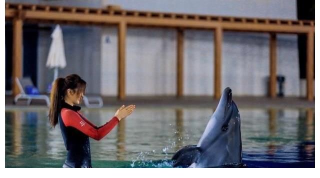 综艺节目|金子涵,综艺节目泳池剧照,惊艳美貌
