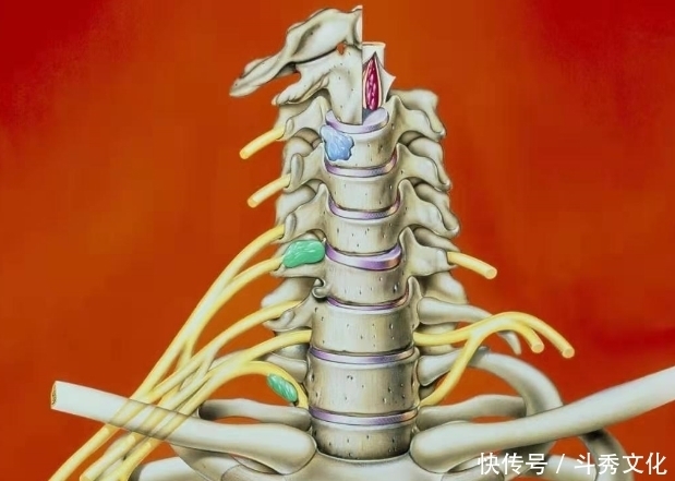 肩膀疼痛,并非肩周炎,问题在哪?您找对没?此文给您全新的认识