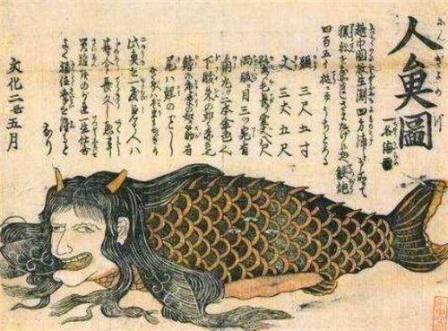 古籍中记载的 美人鱼 是什么 古人 遇见这种海女 你就倒霉了 快资讯