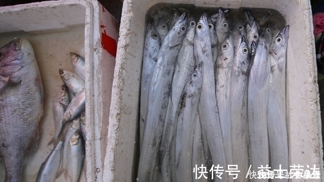 心脑血管|买带鱼时，遇到这3种带鱼，聪明人扭头就走，鱼贩子此人是行家