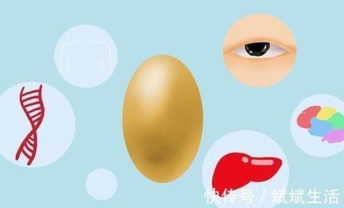 鸡蛋|每天吃1个鸡蛋,得糖尿病的几率提高60%?医生来告诉你答案