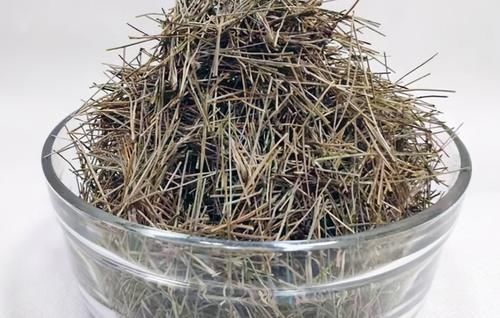 肥力|作为养花人,有机会就多收集些它们,看着不起眼却全是好东西