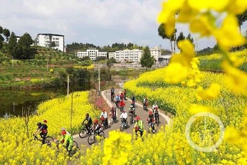 重庆梁平：春暖花开 乐享春光