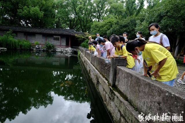 藏书楼|“小候鸟”打卡天一阁,感受甬城“书藏古今”的文化底蕴