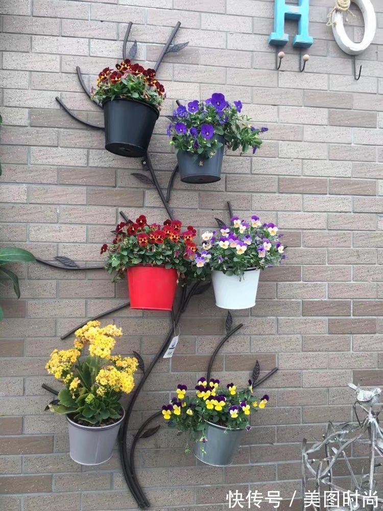 花草|历时一年,在31楼打造300㎡“屋顶花园”,如今美成了仙境