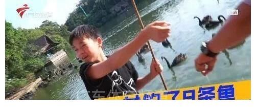 全运会|全红婵又破纪录人人夸，管晨辰跳个舞被骂不务正业