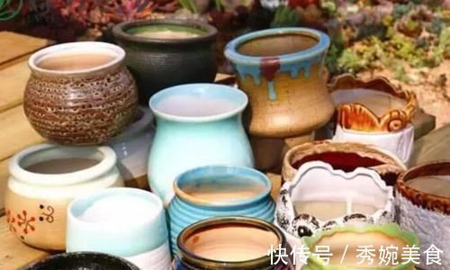 养花还在买花盆学会一招,再不用多花一分钱,一捡一大堆