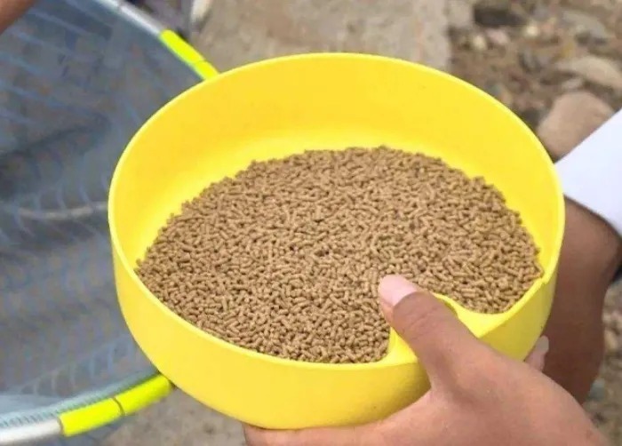 天气太冷,诱鱼太慢?那是你用过这4个打窝方式,别再傻傻不知情