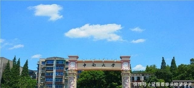 学渣|20岁学渣攻克了世界级难题，三名院士联名中央，破格成最年轻教授