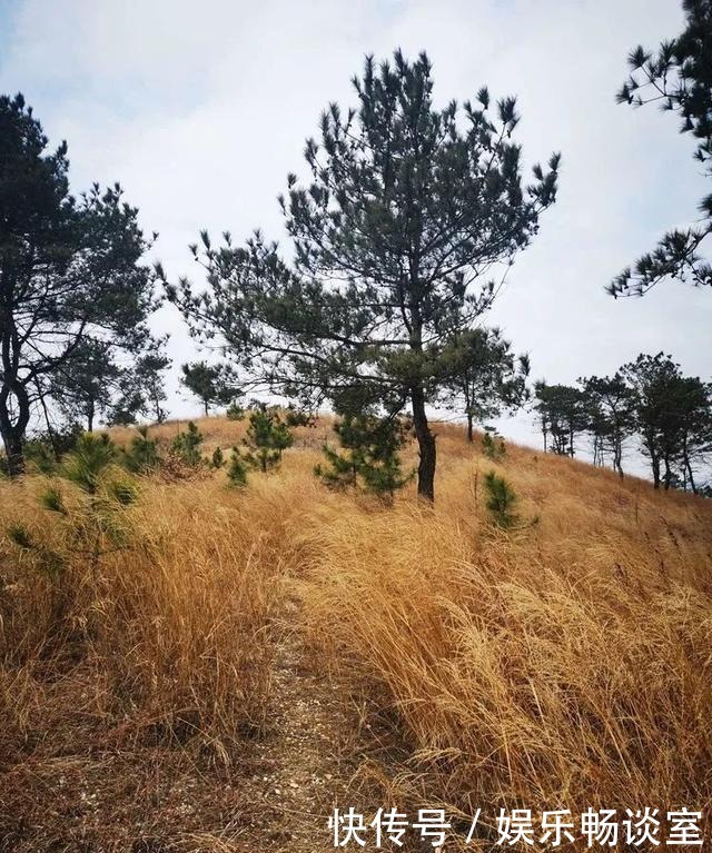 故乡山，家乡情