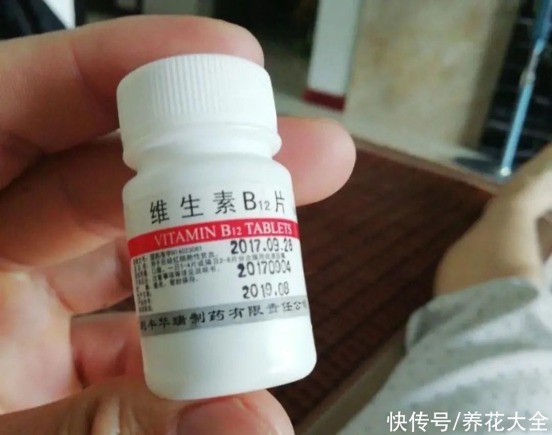 给花浇水掺点白醋，植物根比萝卜还粗，健壮不黄叶