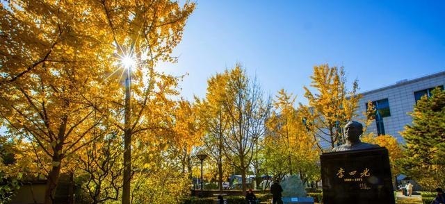  寺院|妙应寺俗称白塔寺是一座藏传佛教格鲁派寺院妙应寺始建于元朝