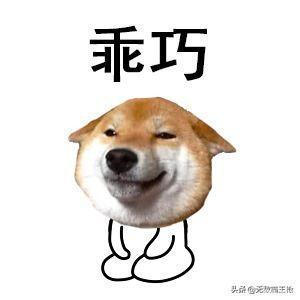 qvq|闲鱼上正确的捡垃圾姿势!220元买了个啥别问,我是垃圾佬