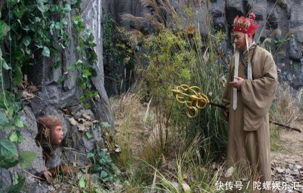 为什么孙悟空要推倒人参果树?看完树的来历,你就明白了