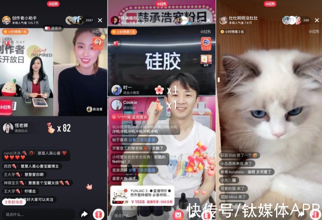 阿青|小红书走不出“楚门的世界”