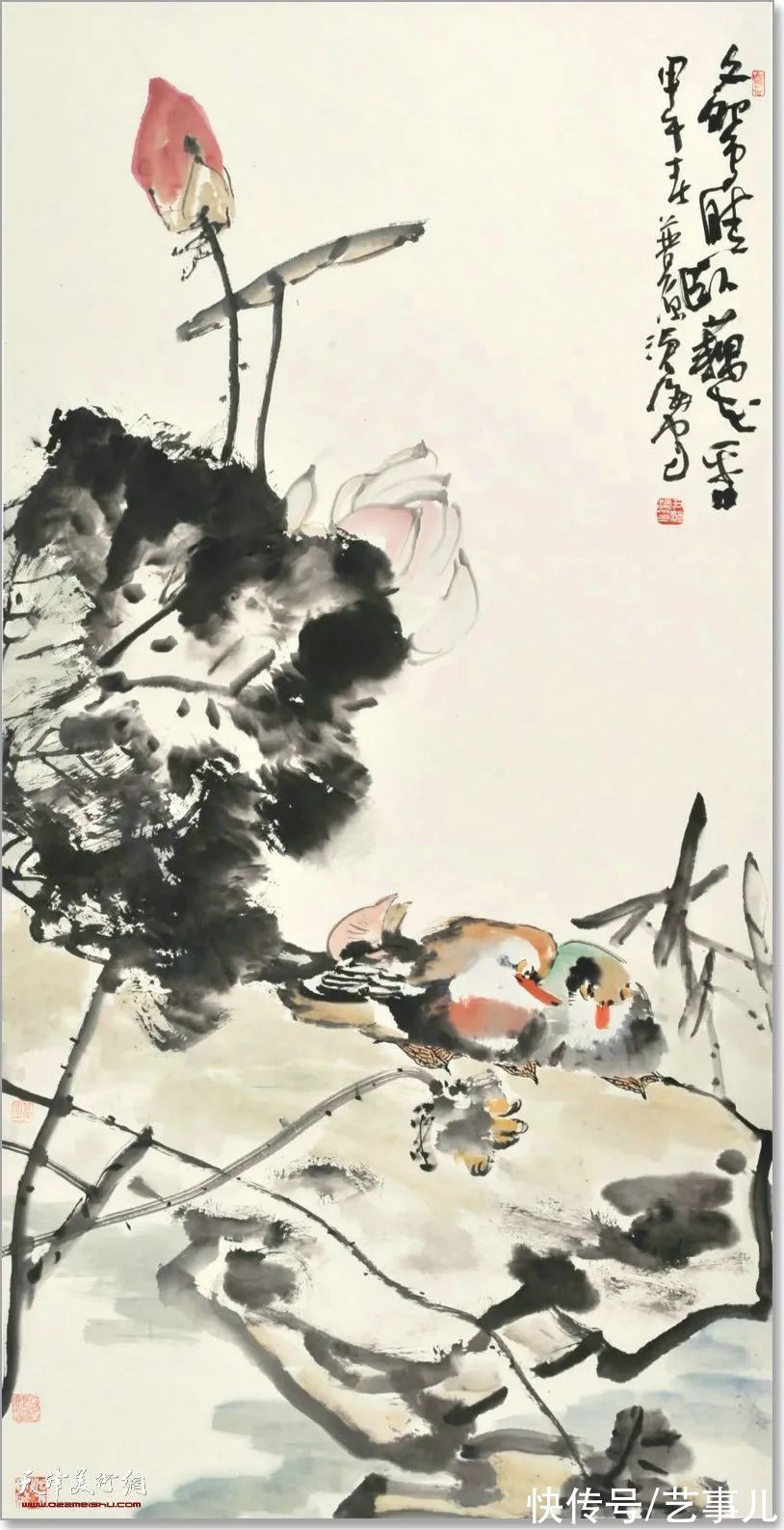 库尔勒!尹沧海教授荷花水禽作品欣赏:笔意简率自由 一派天趣自成