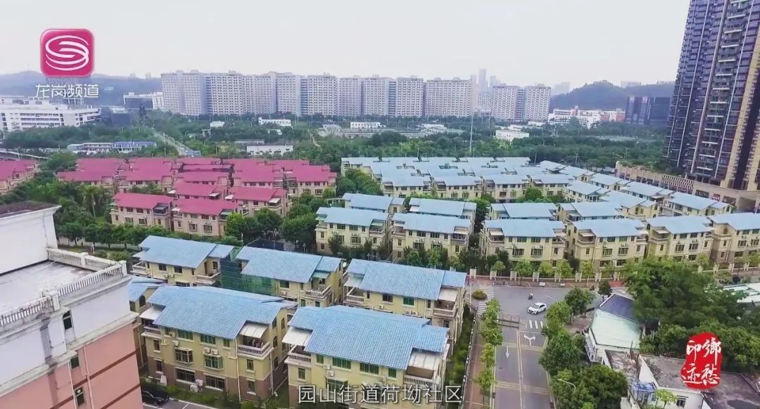 印迹|乡愁印迹!追寻龙岗荷坳的历史